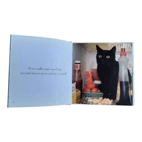 If Cats Could Talk: The Meaning of Mrow Book - Picture 3 of 4
